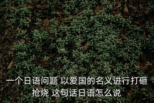 一個日語問題 以愛國的名義進行打砸搶燒 這句話日語怎么說