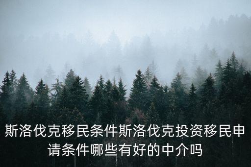 斯洛伐克移民條件斯洛伐克投資移民申請(qǐng)條件哪些有好的中介嗎