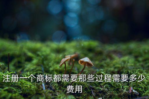商標(biāo)注冊流程及費用，注冊商標(biāo)要多少錢流程是什么