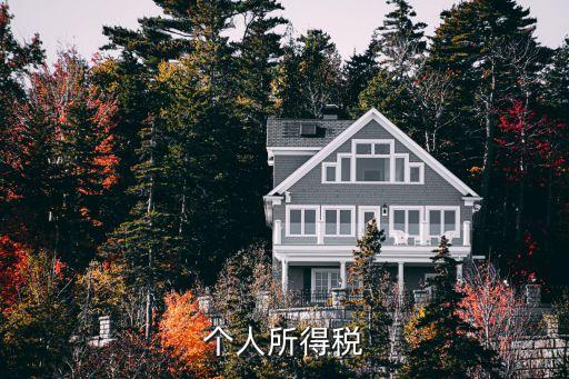 個(gè)人所得稅