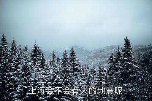 上海會(huì)不會(huì)有大的地震呢