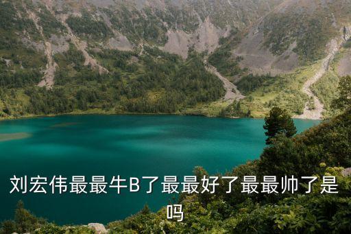 劉宏偉，劉宏偉最最牛B了最最好了最最帥了是嗎