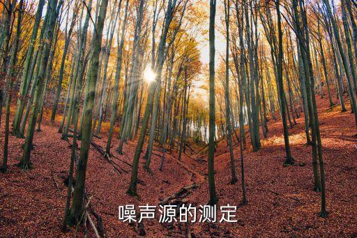 噪聲源的測定