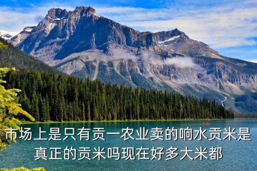 貢一，貢一基本資料 那個(gè)健身的網(wǎng)紅