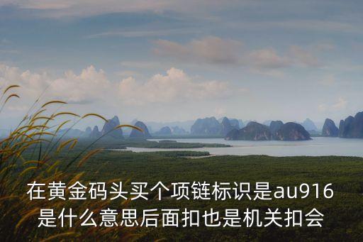 在黃金碼頭買個項鏈標識是au916是什么意思后面扣也是機關扣會