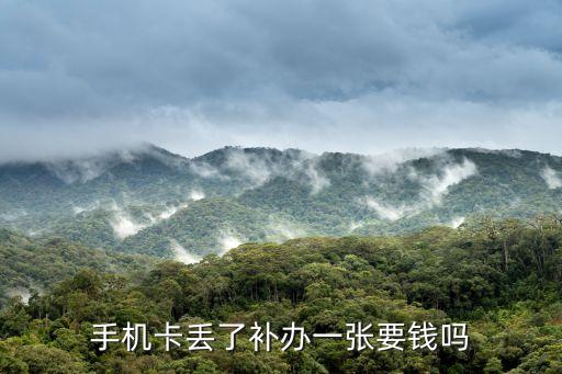 補卡要錢嗎，手機卡丟了補辦一張要錢嗎