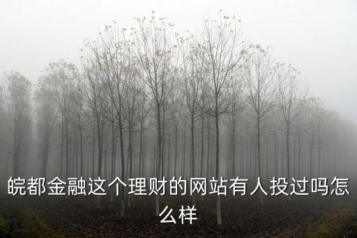 皖都金融，皖都金融這個理財?shù)木W(wǎng)站有人投過嗎怎么樣