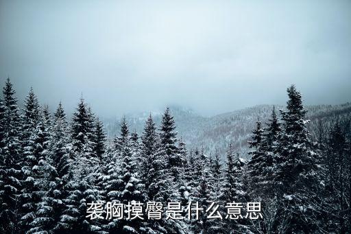 揉胸摸屁股，襲胸摸臀是什么意思