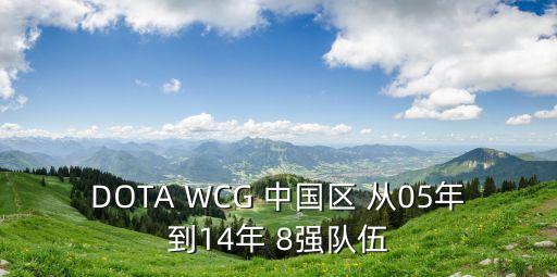 DOTA WCG 中國區(qū) 從05年到14年 8強隊伍