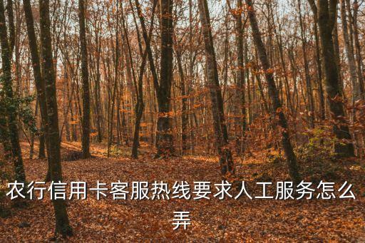 農(nóng)行信用卡客服熱線要求人工服務(wù)怎么弄
