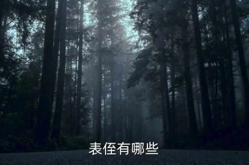 表侄子，表侄有哪些