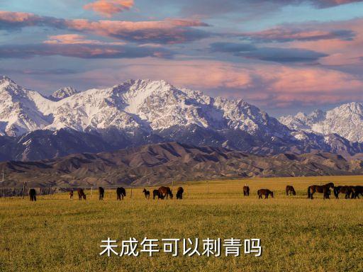未成年可以紋身嗎，未成年應(yīng)該紋身嗎