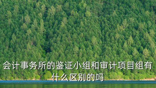 會(huì)計(jì)事務(wù)所的鑒證小組和審計(jì)項(xiàng)目組有什么區(qū)別的嗎