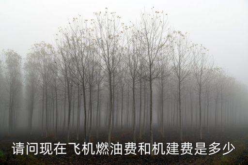 請問現(xiàn)在飛機燃油費和機建費是多少
