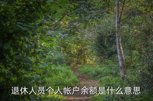 退休人員個人帳戶余額是什么意思