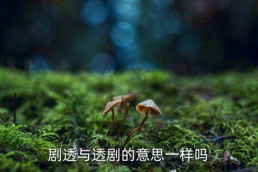 透漏和透露一樣嗎，賭片里面一般都賭什么可以透露下嗎