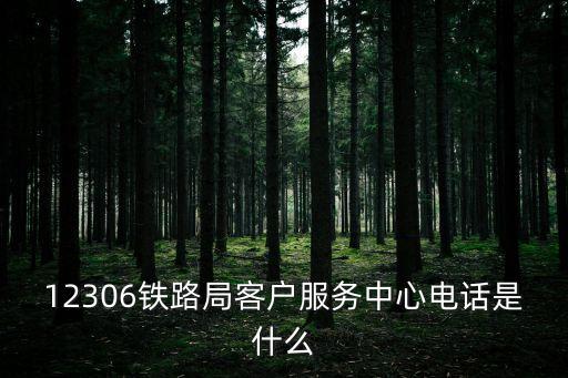 12306鐵路局客戶服務中心電話是什么