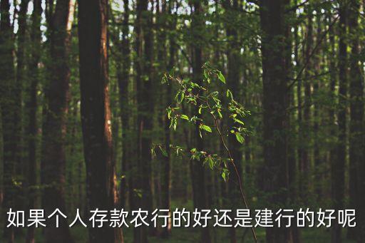 個人儲蓄，如果個人存款農(nóng)行的好還是建行的好呢