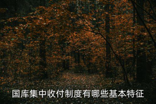 國(guó)庫(kù)集中收付制度有哪些基本特征