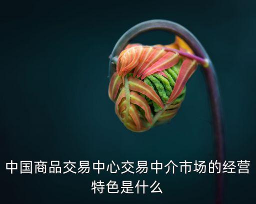 中國(guó)商品交易中心交易中介市場(chǎng)的經(jīng)營(yíng)特色是什么
