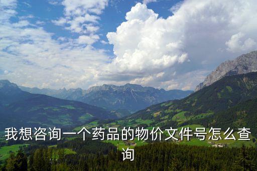 我想咨詢一個藥品的物價文件號怎么查詢