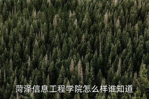 菏澤信息工程學(xué)院怎么樣誰(shuí)知道