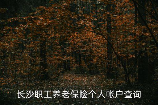 長沙職工養(yǎng)老保險個人帳戶查詢