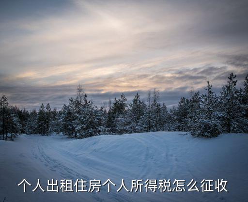 個(gè)稅租房，房屋租賃的個(gè)人所得稅怎是多少