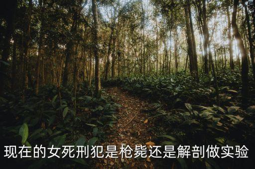 槍斃女死刑犯，現(xiàn)在的女死刑犯是槍斃還是解剖做實(shí)驗(yàn)
