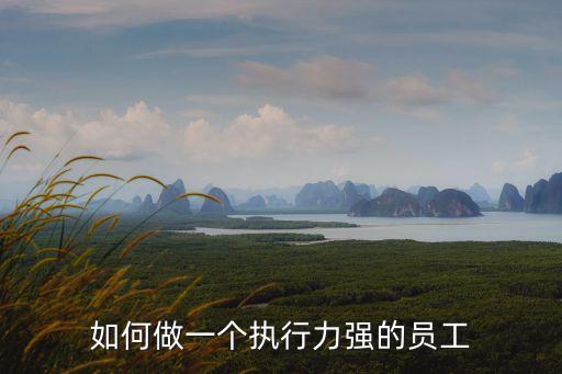 執(zhí)行力強，如何做一個執(zhí)行力強的員工