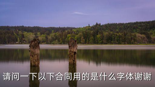 請(qǐng)問(wèn)一下以下合同用的是什么字體謝謝