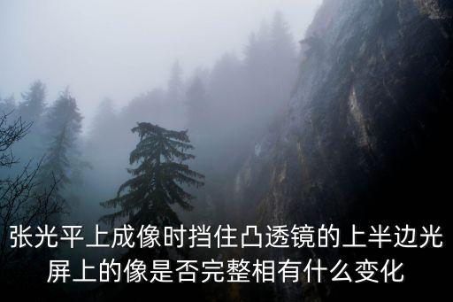 張光平，現(xiàn)任如東縣廣電局局長是誰 高分急 正確的加分