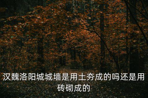 漢魏洛陽城城墻是用土夯成的嗎還是用磚砌成的