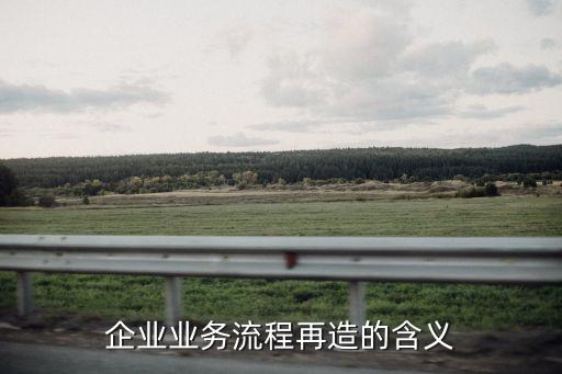流程再造，企業(yè)業(yè)務流程再造的含義