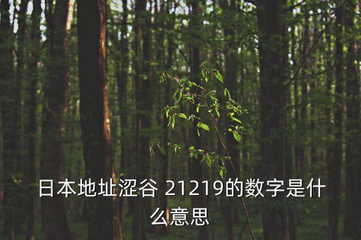日本地址澀谷 21219的數(shù)字是什么意思