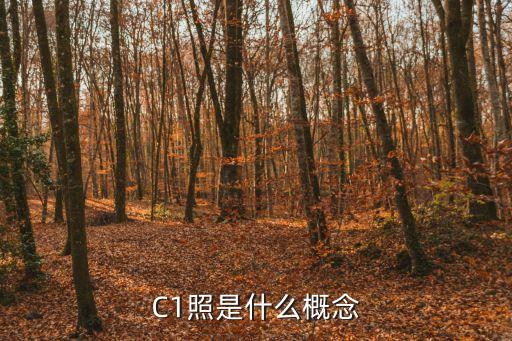 c1照，C1照是什么概念