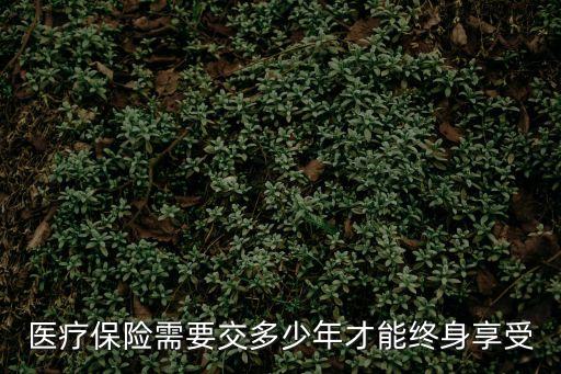 醫(yī)保要交多少年可以享受終身，醫(yī)療保險(xiǎn)得交滿多少年才可以享受待遇