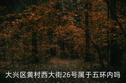 黃村西大街，想知道 北京市 黃村西大街附近哪有早市