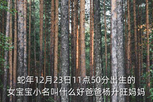 蛇年12月23日11點50分出生的女寶寶小名叫什么好爸爸楊升旺媽媽