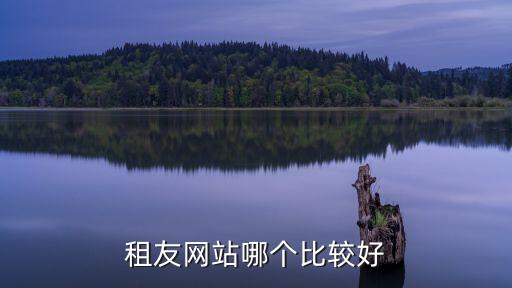 租友網站哪個比較好