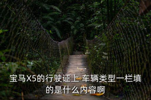 車輛類型怎么填，寶馬X5的行駛證上 車輛類型一欄填的是什么內容啊