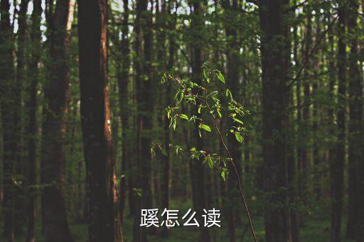 一什么小路，什么的小路