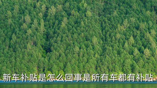 新車(chē)補(bǔ)貼是怎么回事是所有車(chē)都有補(bǔ)貼