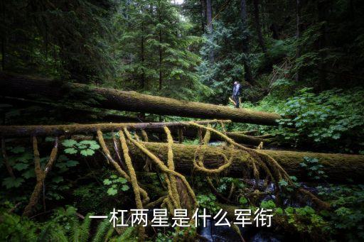 一杠兩星是什么軍銜