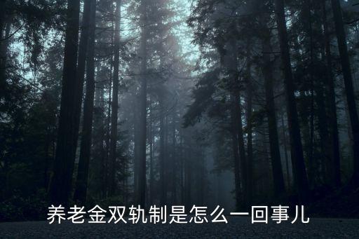 養(yǎng)老金雙軌制是怎么一回事兒