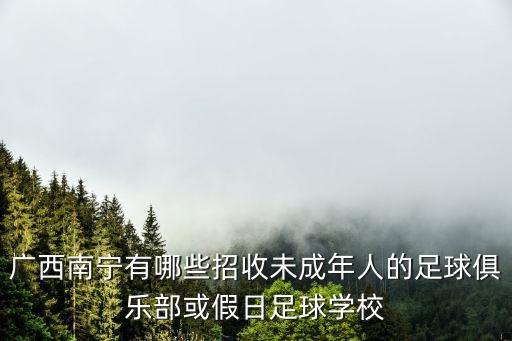 廣西南寧有哪些招收未成年人的足球俱樂(lè)部或假日足球?qū)W校
