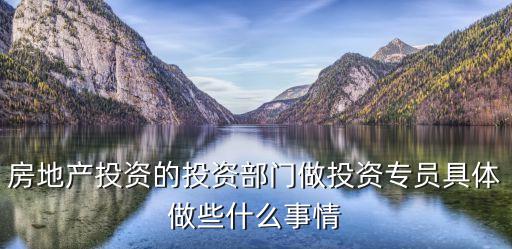 投資部，企業(yè)專(zhuān)門(mén)用作投資的那個(gè)部門(mén)叫什么啊