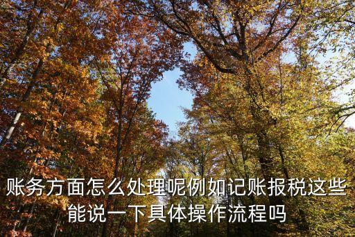 記賬報(bào)稅，賬務(wù)方面怎么處理呢例如記賬報(bào)稅這些能說一下具體操作流程嗎