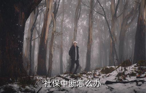 社保斷了怎么辦，社保保險(xiǎn)中斷怎么辦