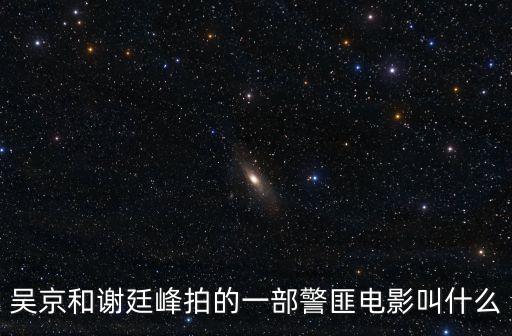 吳京和謝廷峰拍的一部警匪電影叫什么